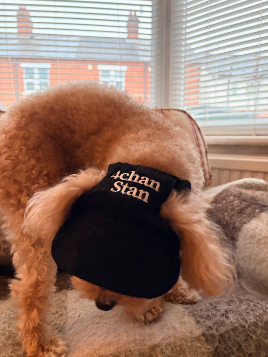 **PRE-ORDER** Pet cap