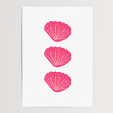 Seashells - A5 - Print - Thursday's Child